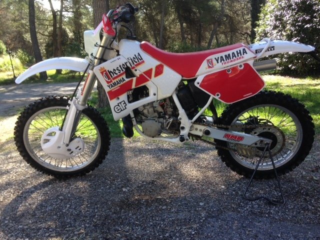 Yamaha - YZ/WR - 250 cc - 1989年