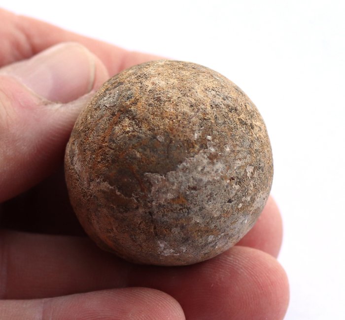 Perfect unhatched fossil turtle egg : Testudoolithus oosp. - 3.5 cm - 100% natural