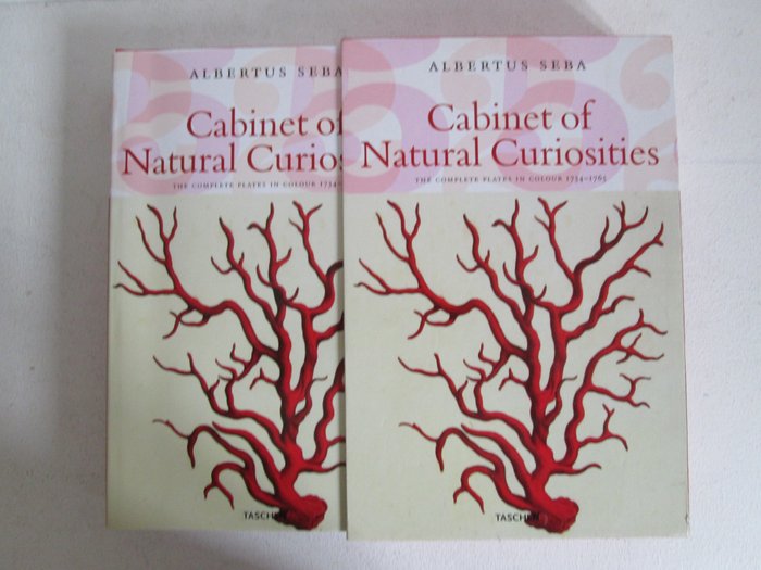 Albertus Seba Cabinet Of Natural Curiosities 2001 Catawiki