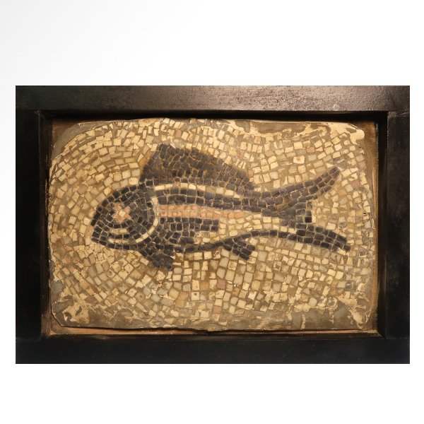 Roman Mosaic Panel With Fish 26 Cm X 17 4 Cm Mosaic Only Frame Excluded Catawiki