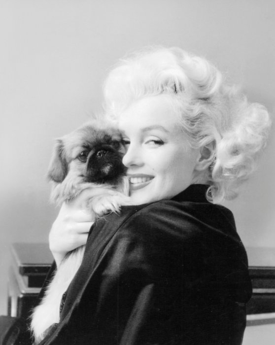 Milton H. Greene (1922-1985) - Marilyn Monroe, with - Catawiki