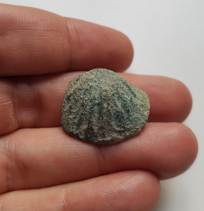 República romana - Forma de concha de berberecho pre-moneda de Aes Formatum (14,74 g 23 mm). Italia central, alrededor de los siglos IV a. C.