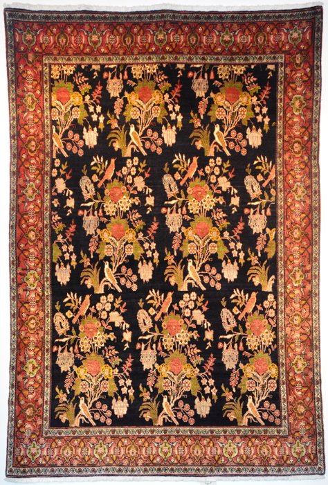 Senneh - Carpet - 241 cm - 161 cm