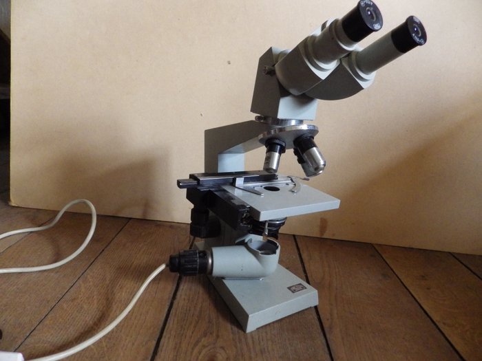 Carl Zeiss Jena - Binocular Microscope - 1st half of the 20th, Germany