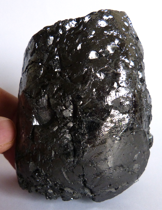 Shungit (ein glänzendes schwarzes Mineraloid) Mineralien Sammlung - 10,2 x 7,4 - 444