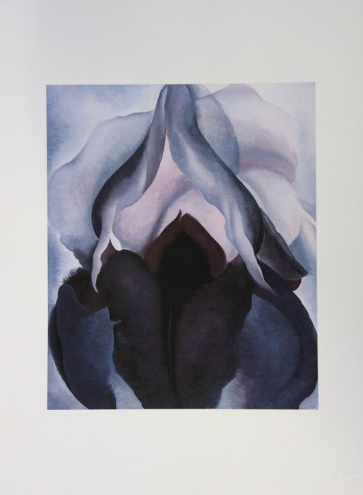 Georgia O'Keeffe (1887-1986) - Black Iris | Barnebys