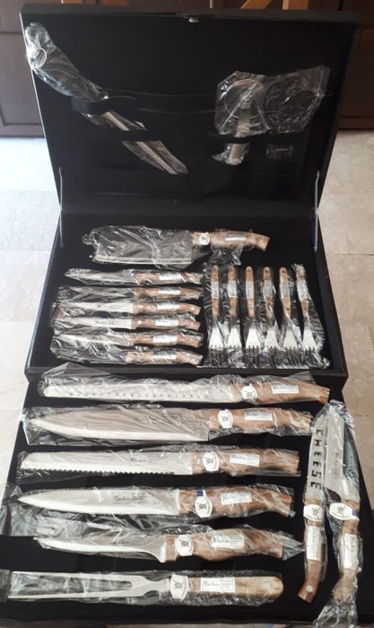 Von Meister Excalibur 24 pcs Deluxe Knife set top quality with briefcase