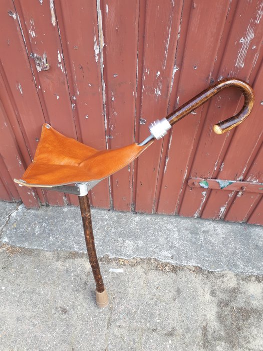 walking stick with leather seat - Catawiki