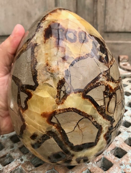 Septaria Egg - 20,5 x 14,5 cm - 6444 g