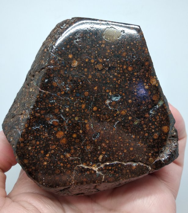 NWA CR2-carbonaceous chondrite- Chondrite Meteorite - 9 x 8.5 x 7.5 cm - 712 g