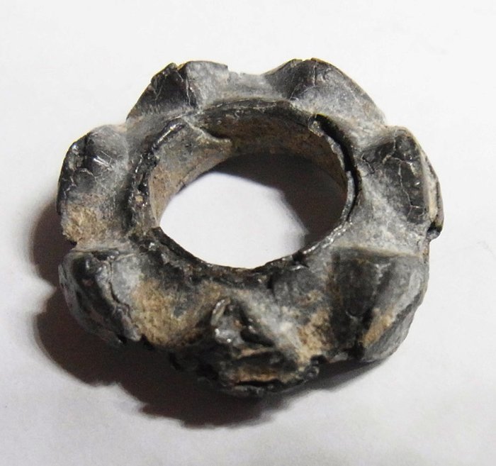 居爾特硬幣 - "Ring / Rad-Geld", 6.-2. Jh. v.Chr. - 21,4 mm