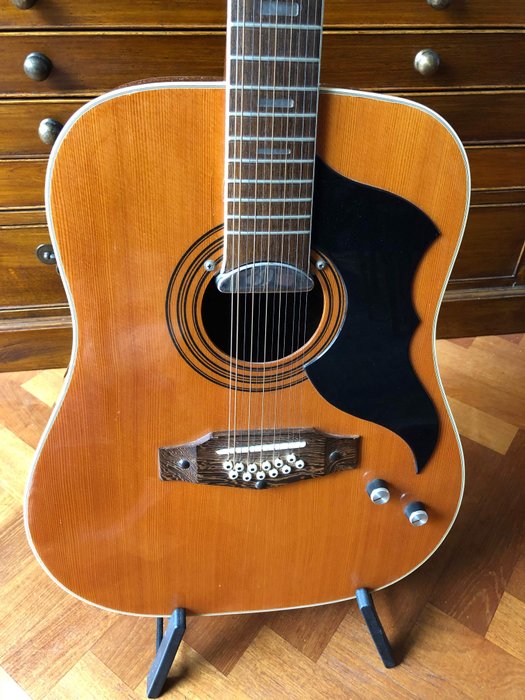 Eko Ranger 12 String Guitar