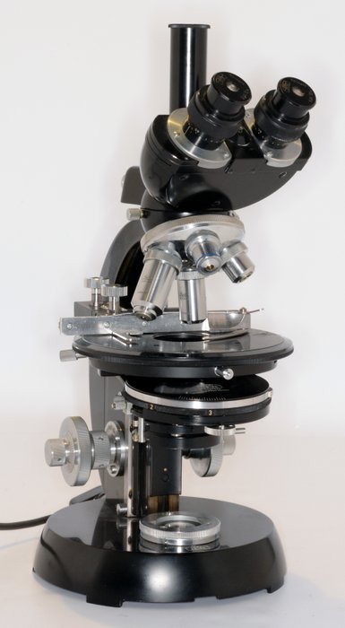 Zeiss Standard Microscope