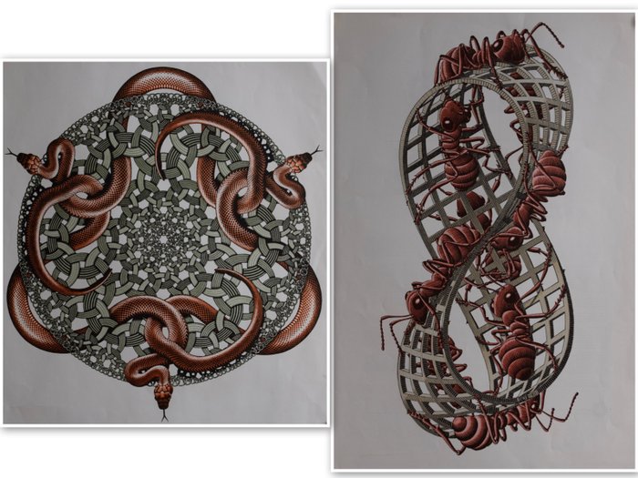 M.C Escher - Ringslangen & De Band van Mobius II