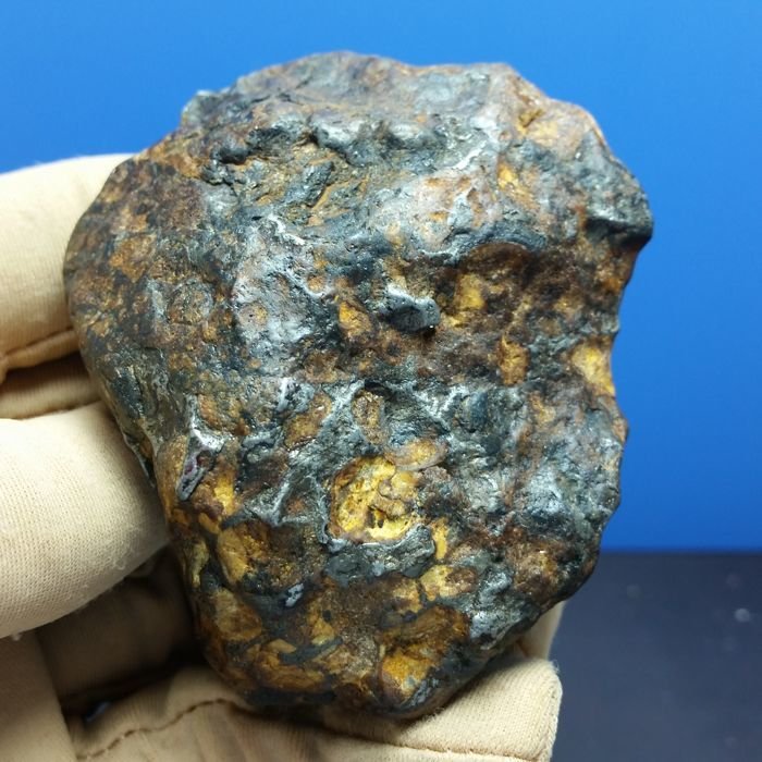 Pallasite Iron meteorite - 61,8x55,6 - 186 gm. - (1)