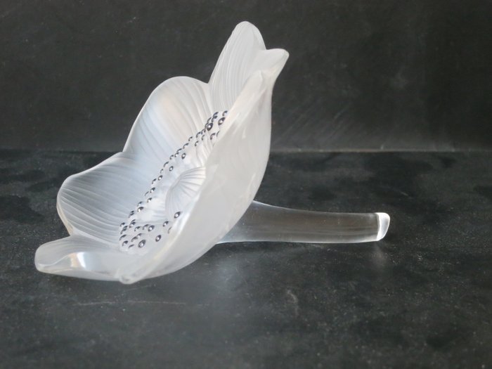 Lalique - 花 鎮紙 - Anemone