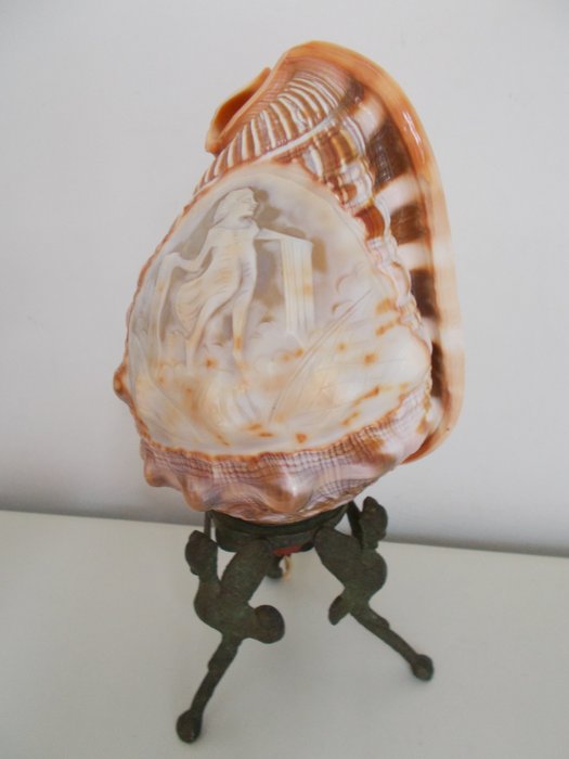 Wunderschön geschnittene Camée Shell Lampe - Schale