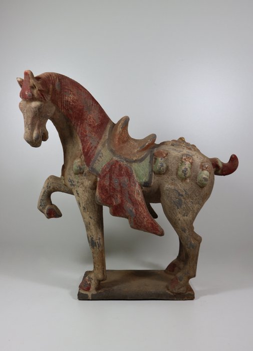 Grand cheval de la dynastie Tang, accrocheur - Terre cuite