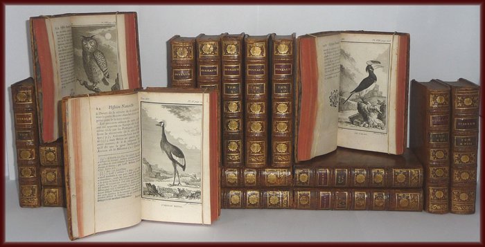 Georges-Louis Leclerc, comte de Buffon  - Histoire naturelle des oiseaux  - 1770/1785