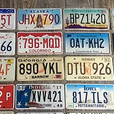 Number Plate Usa License Plates All 50 States 2018 Catawiki