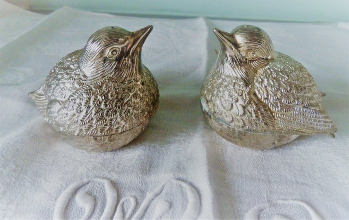 在银色金属的鸟盐和胡椒罐 (2) - 银色金属