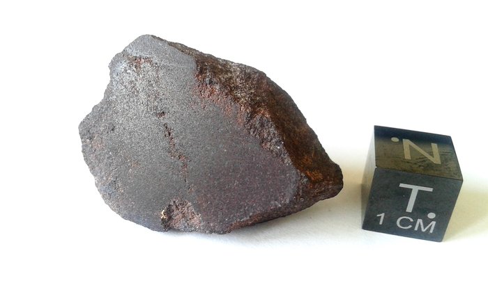 Enstatite chondrite meteoriet enstatita - 12 g