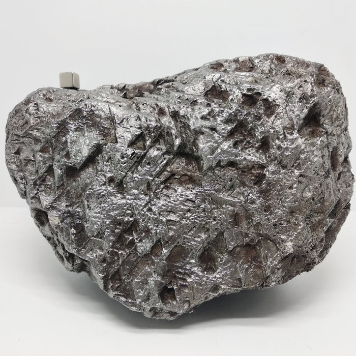 Muonionalusta。瑞典，1906年 鐵隕石 - 19×14×11 cm - 11.5 kg