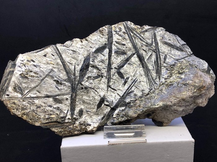 Hornblende (série d'amphiboles) cristaux sur schiste - 21×10×2 cm - 600 g