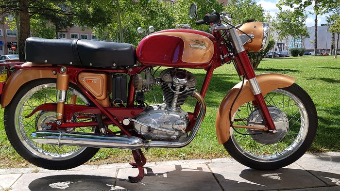 Ducati - TS - 175 cc - 1965 - Catawiki