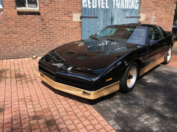 Pontiac - Firebird Trans-Am BLACK & GOLD - 1987