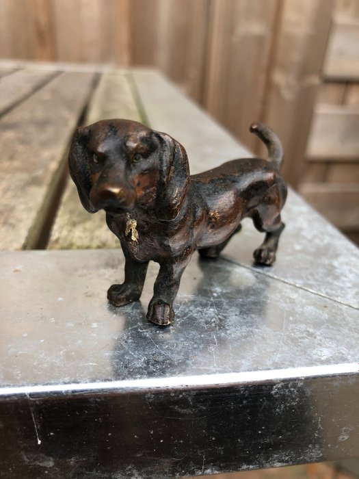 雕塑, 维也纳青铜器-腊肠犬 - Bronze (patinated) - 1920-1950
