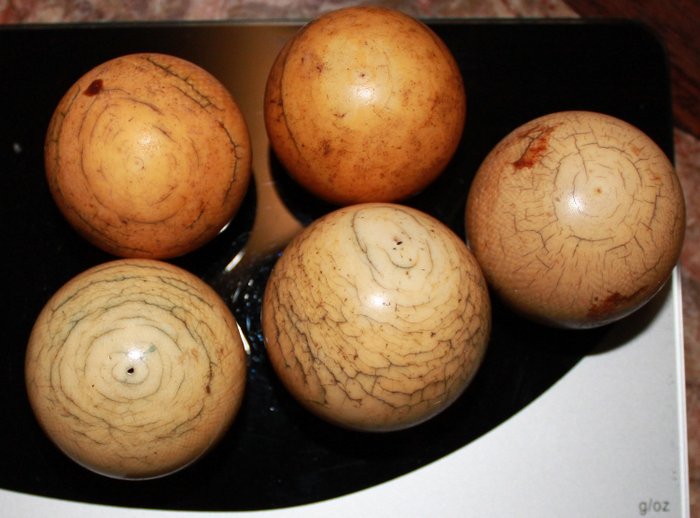 billiard balls (5) - Ivory - 19th century