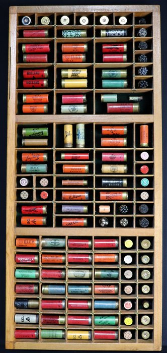 Storbritannien - Eley, Winchester, Holland & Holland - Gun Ammunition - Vintage & Antique Paper Cartridge Display - Haglgevær - Mixed 20, 12, 410 and 10 bore