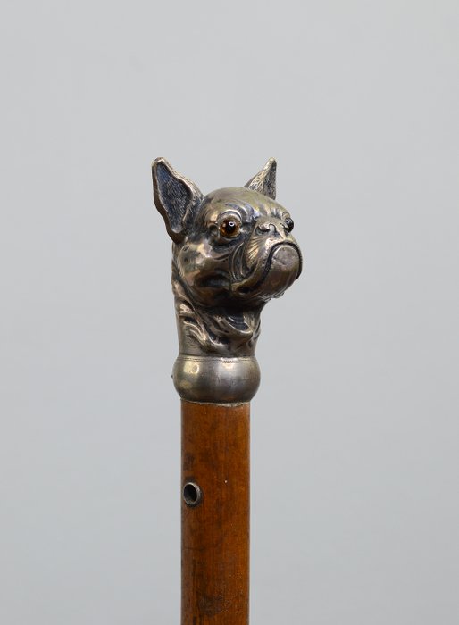 Wandelstok, Franse Bulldog - Zilver, Malakka-hout, hout - Eerste helft 20e eeuw