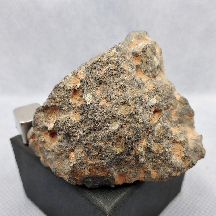 盧納隕石。(NWA 11474 配對)。 行星赭石 - 5×4×3.4 cm - 78.95 g