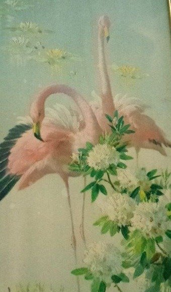 Vernon Ward (1905-1985) - Koppel Flamingo's