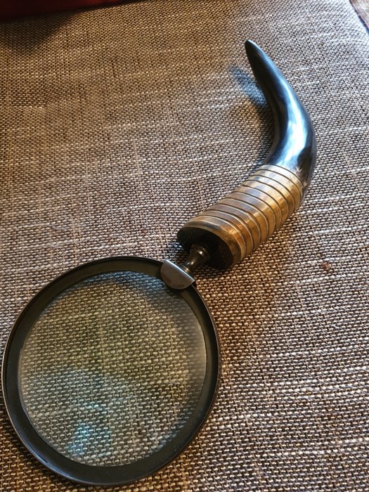 Antique giant magnifying glass with genuine horn handle from the 19th century (1) - Knochen, Messing - 19. Jahrhundert
