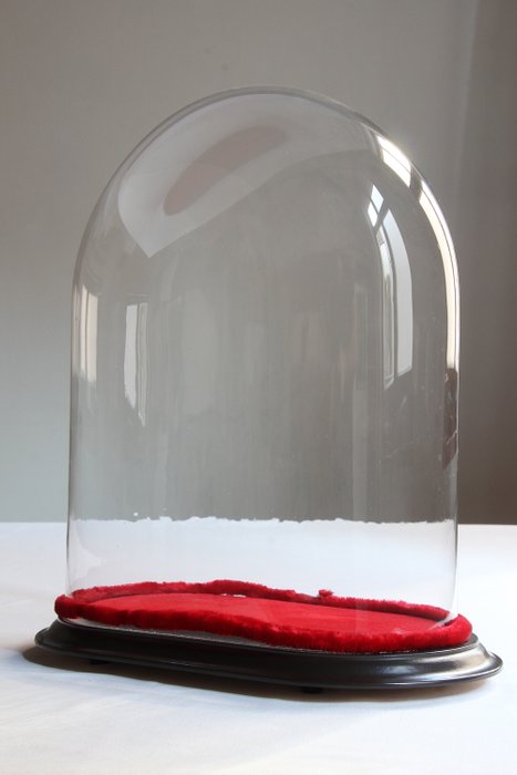 Grande campana di vetro antico - Ovale - 43 cm - Legno, Vetro