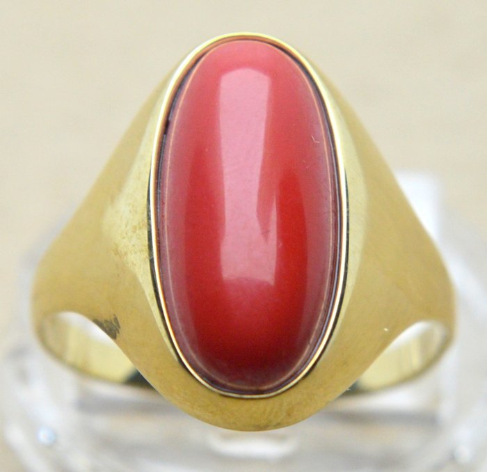 333 Yellow gold - Ring - 5.00 ct Red Coral - Catawiki