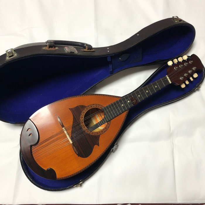 商品のインターネット スズキバイオリンのマンドリンM215 エレキギター