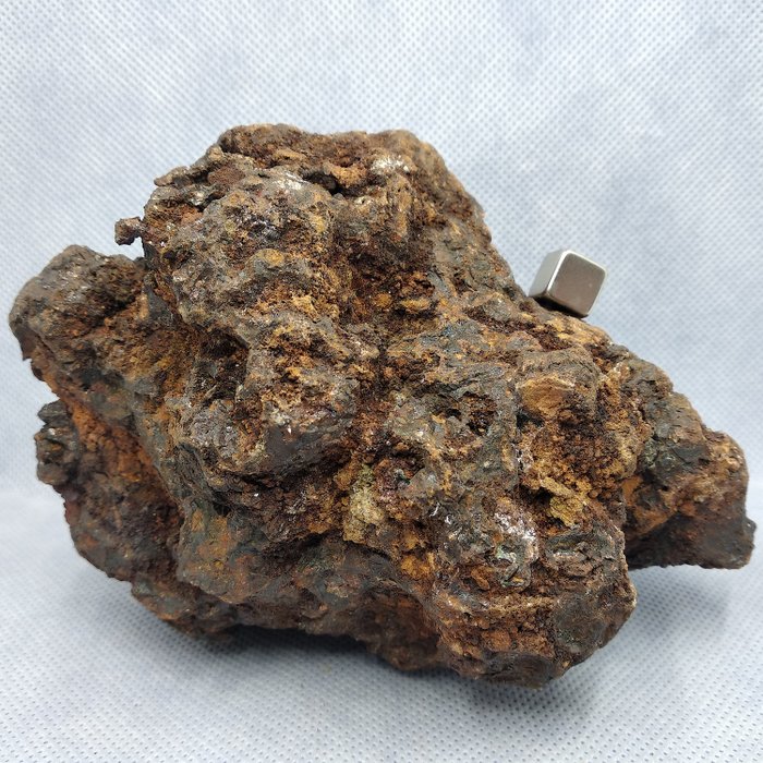 SERICHO METEORITE. Excellent form. PALLASITA XL MUSEUM quality. Do not reserve price! - 1372 g