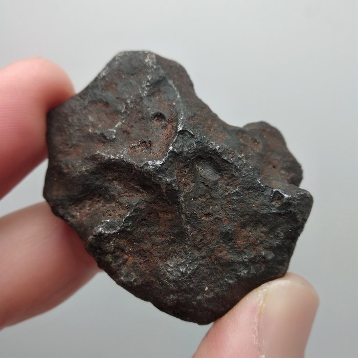 Sikhote-Alin järn meteorit - 83.3 g