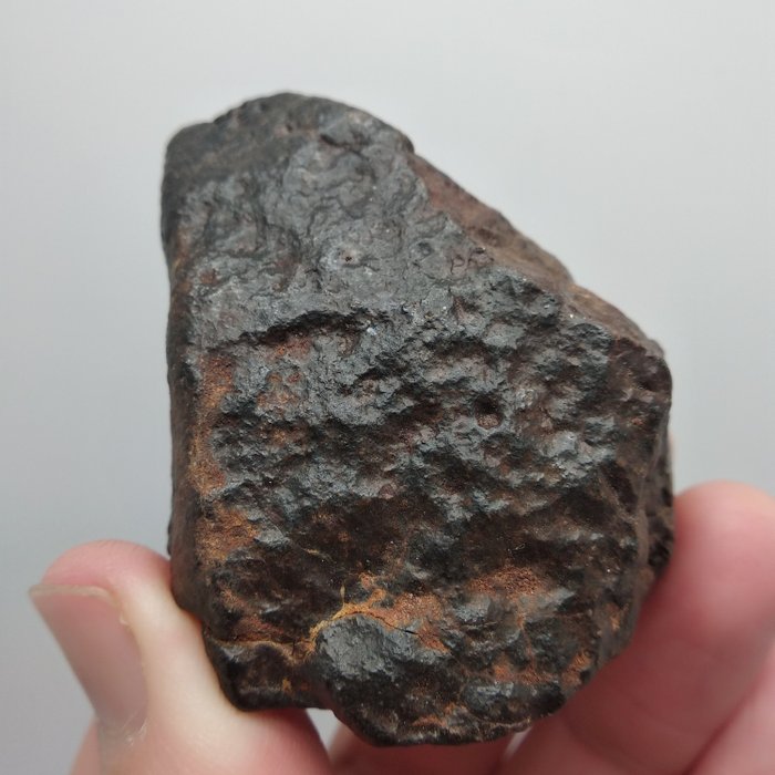 NWA Schöne Fusionskruste. Chondrit Meteorit - 178 g
