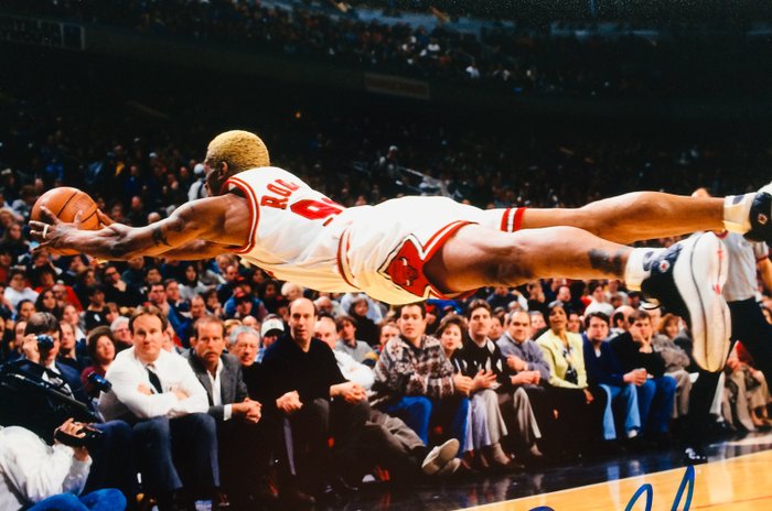 Chicago Bulls - NBA Basketball - Dennis Rodman - Photograph - Catawiki