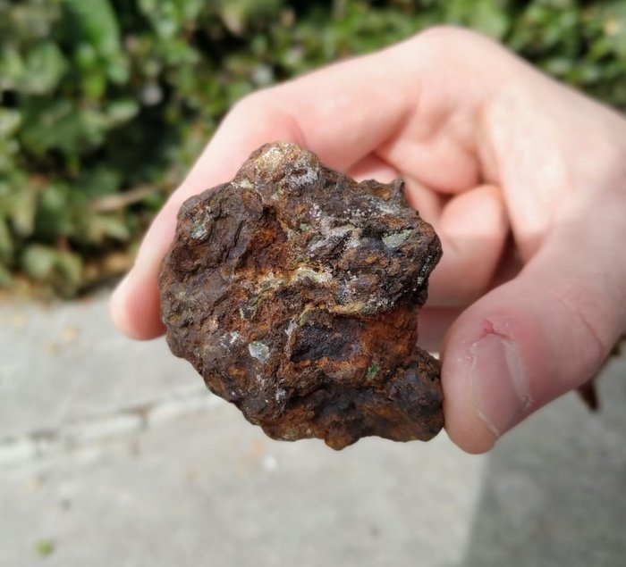 Sericho pallasite。 石鐵隕石 - 86.7 g