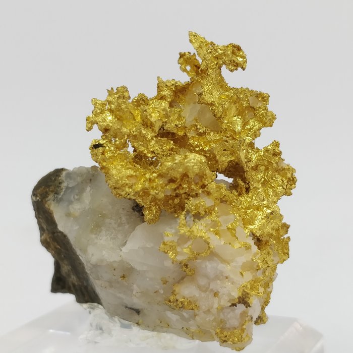 Gold native gold on quartz - 3×4.9×4.8 cm - 48 g