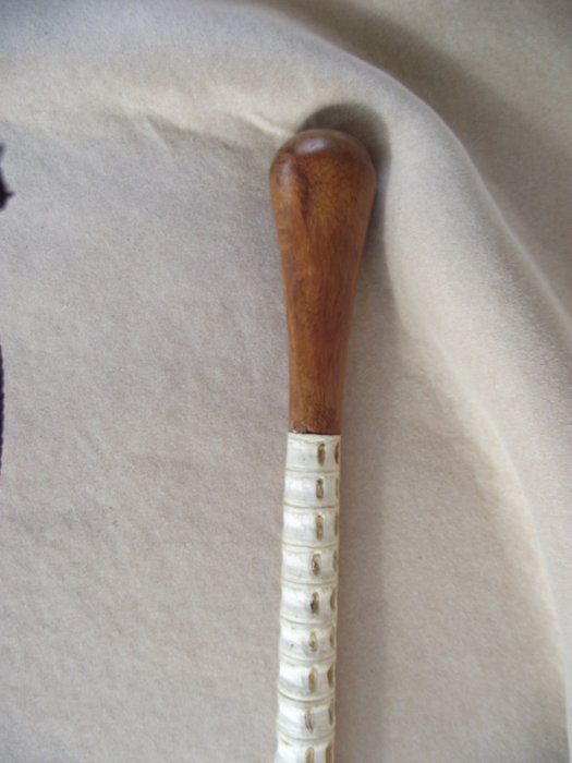 手杖 (1) - 鲨鱼椎骨