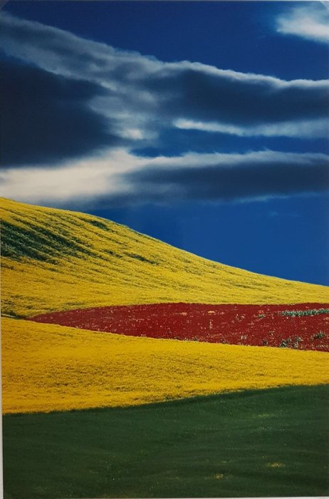 Franco Fontana (1933-) - Paesaggio, 2000