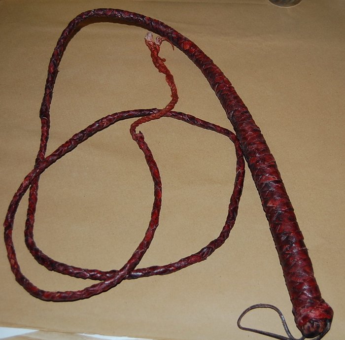 Leather whip - Leather