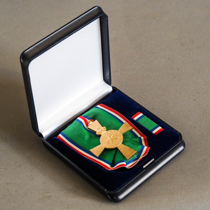 荷兰 - 新几内亚纪念十字架 - 勋章, 奖章